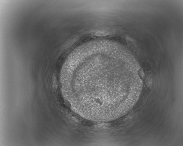 X0000058761253200510281908