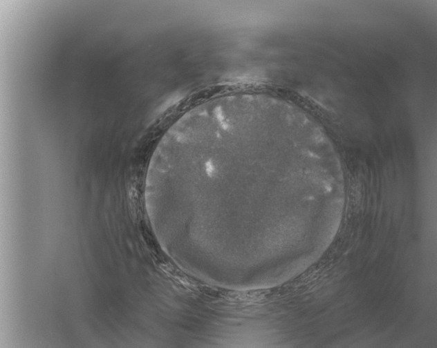 X0000058761254200510281908