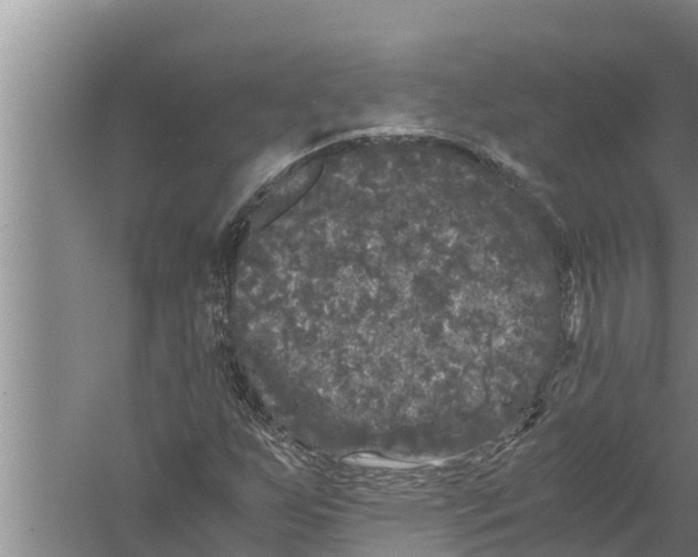 X0000058761255200510281908