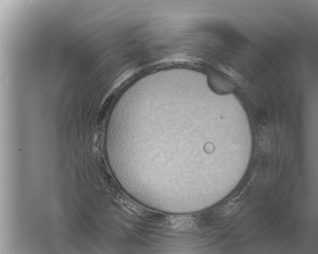 X0000058761258200510281908