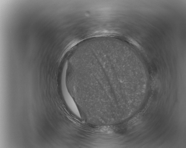 X0000058761259200510281908