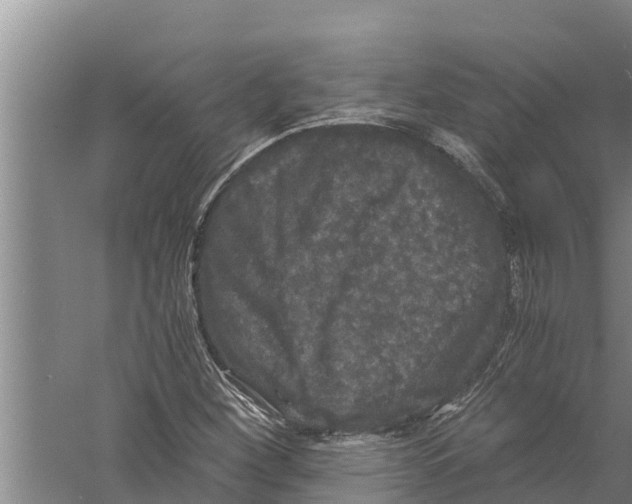 X0000058761260200510281908