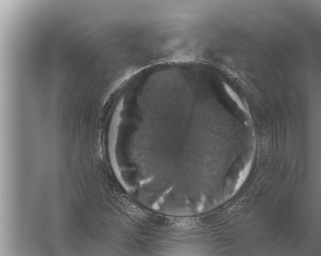 X0000058761262200510281908