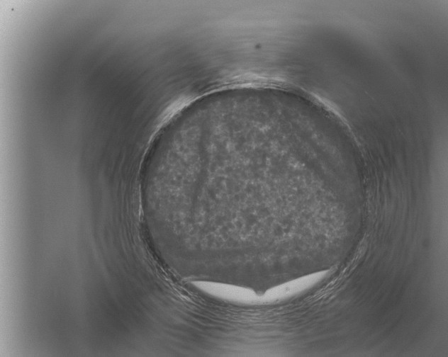 X0000058761267200510281908