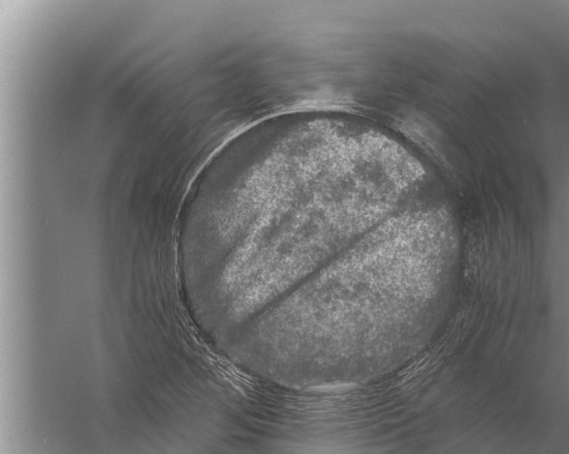 X0000058761268200510281908