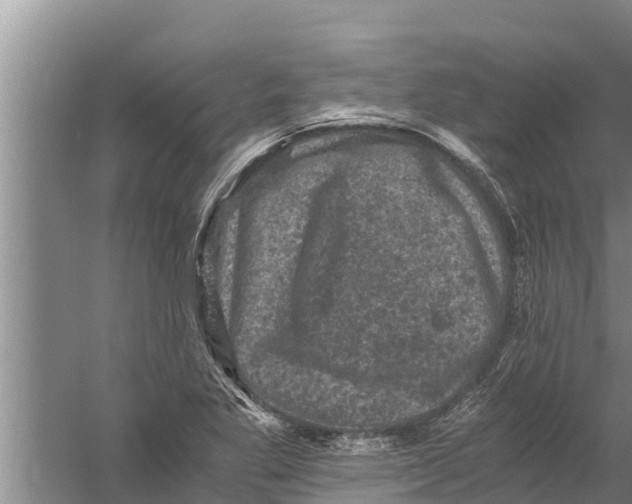 X0000058761269200510281908