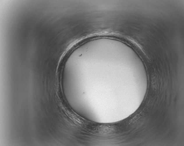 X0000058761270200510281908