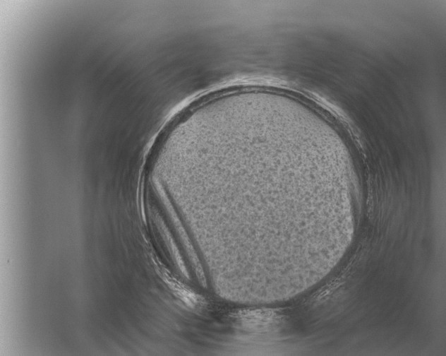 X0000058761272200510281908