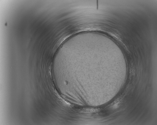 X0000058761273200510281908