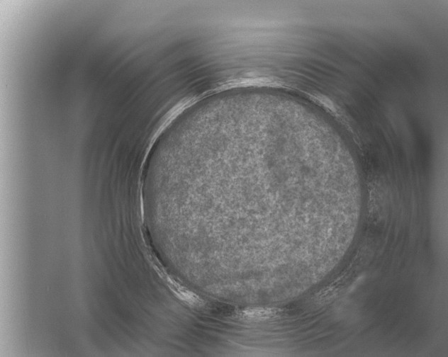 X0000058761274200510281908