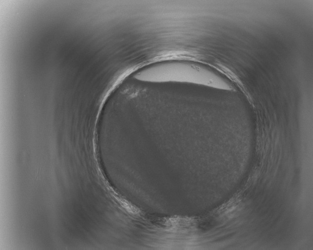 X0000058761277200510281908