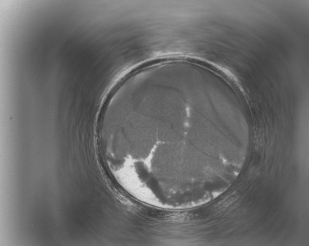 X0000058761279200510281908