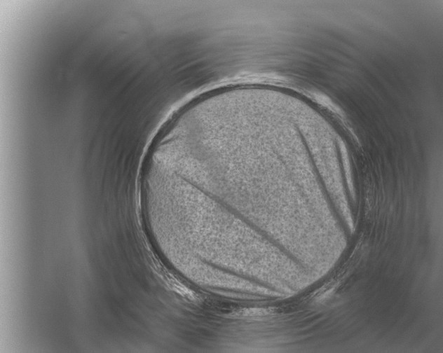 X0000058761280200510281908