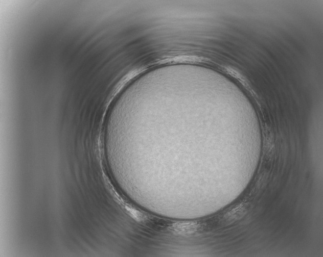 X0000058761282200510281908