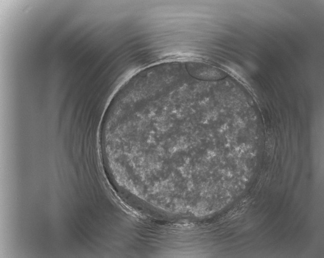 X0000058761283200510281908