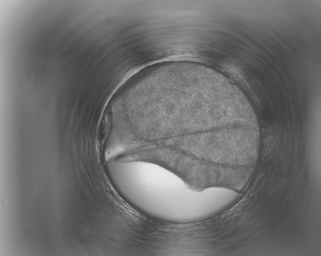 X0000058761284200510281908