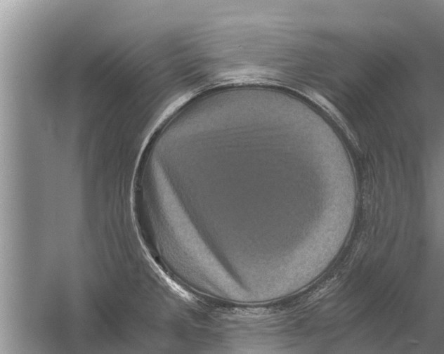 X0000058761285200510281908