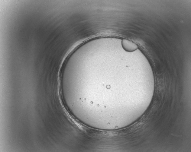 X0000058761286200510281908