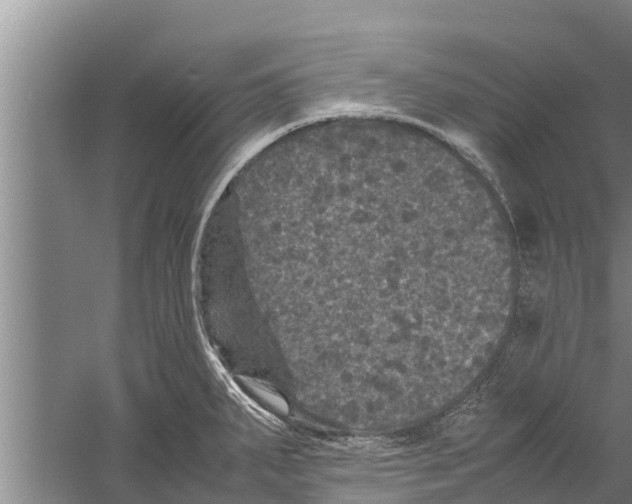 X0000058761287200510281908