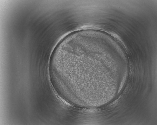 X0000058761288200510281908