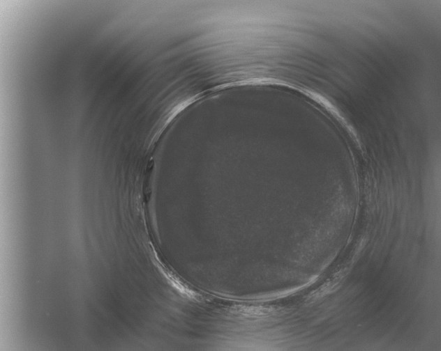 X0000058761289200510281908