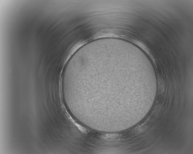 X0000058761290200510281908