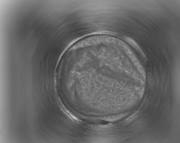 X0000058761292200510281908