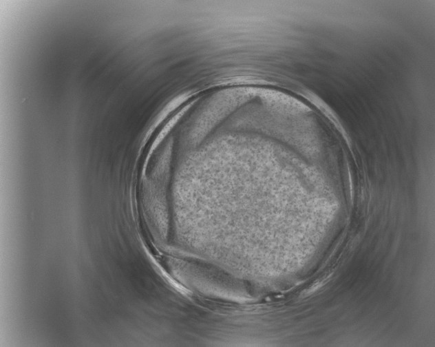 X0000058761293200510281908