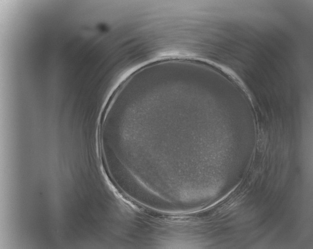 X0000058761295200510281908