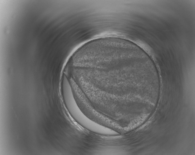 X0000058761296200510281908