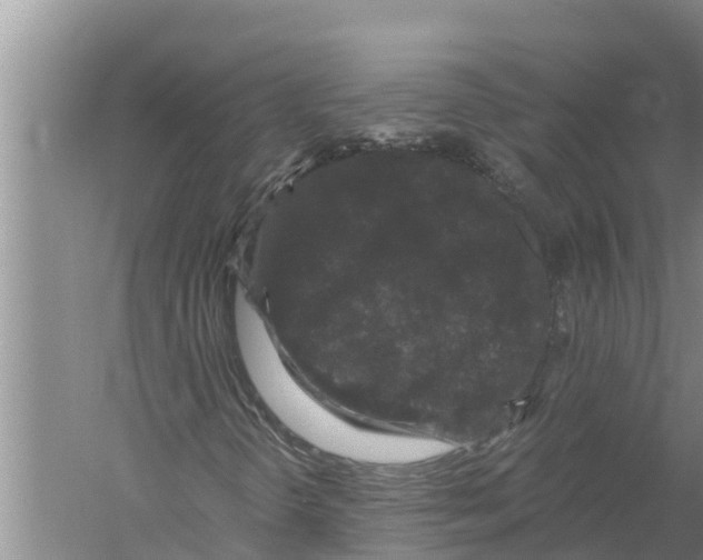 X0000058761298200510281907