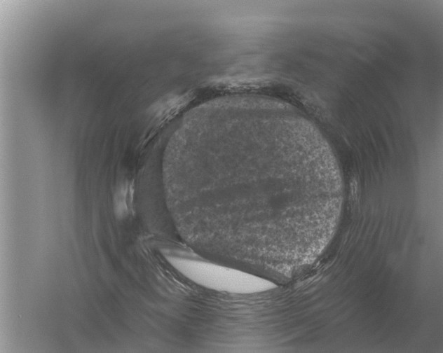 X0000058761300200510281907