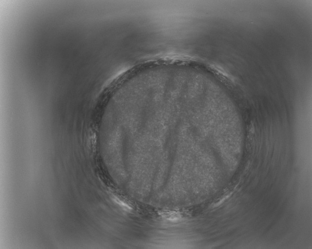 X0000058761302200510281907