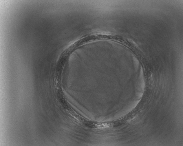 X0000058761303200510281907