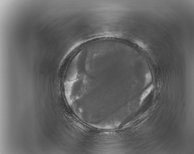 X0000058761310200510281907