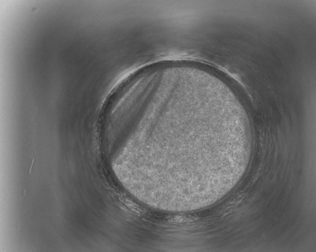 X0000058761311200510281907