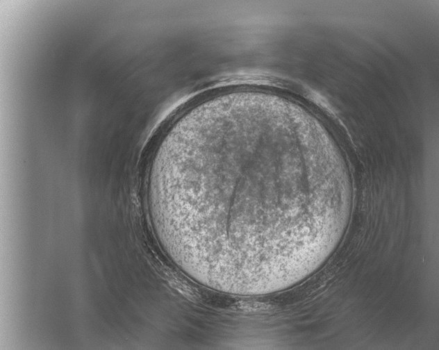 X0000058761312200510281907