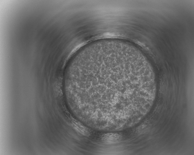 X0000058761314200510281907