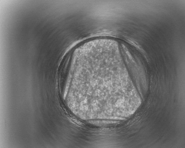 X0000058761316200510281907