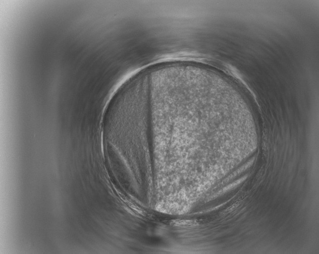 X0000058761320200510281907