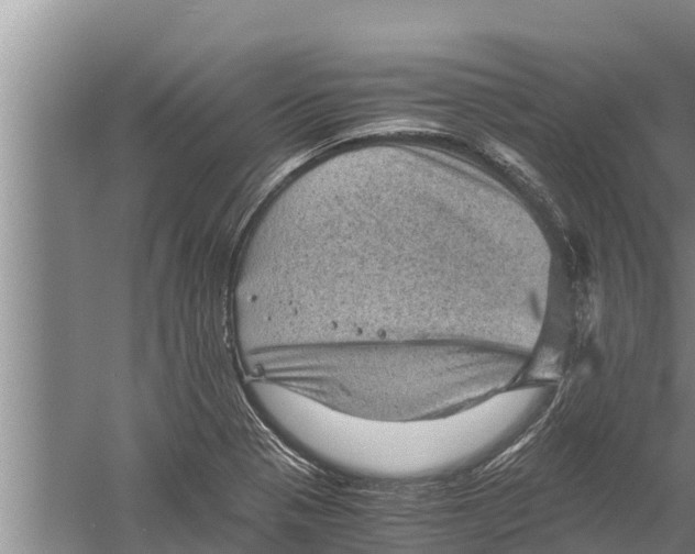 X0000058761321200510281907