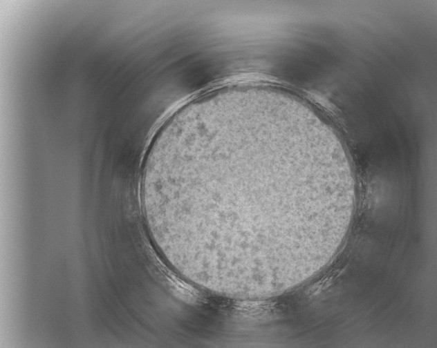 X0000058761322200510281907