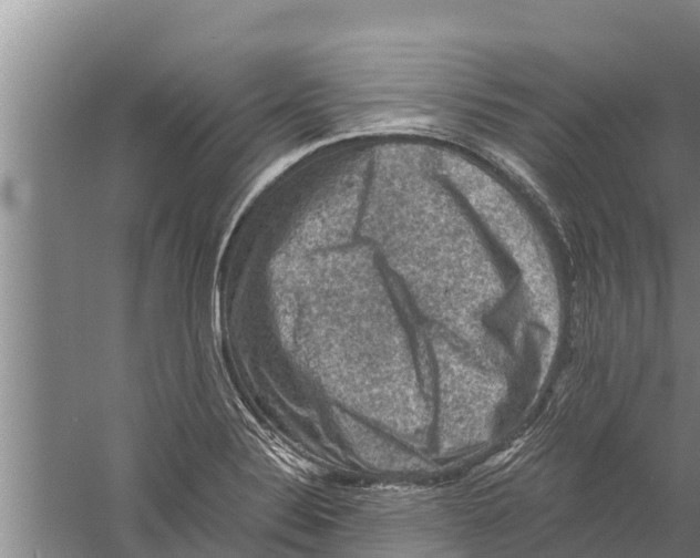 X0000058761324200510281907