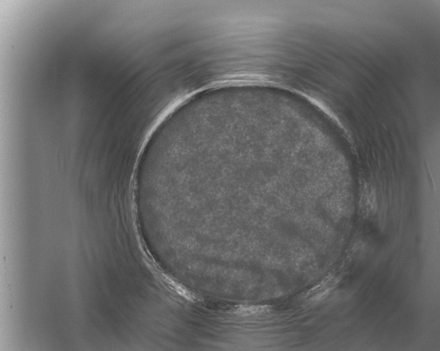 X0000058761325200510281907