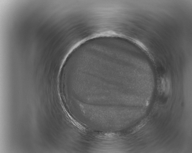 X0000058761326200510281907