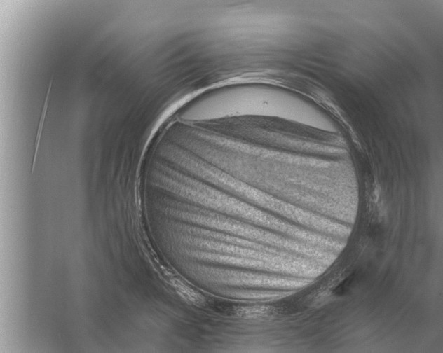 X0000058761328200510281907