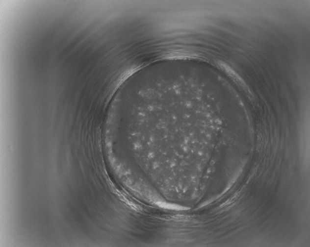 X0000058761329200510281907