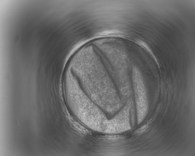 X0000058761336200510281907