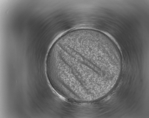 X0000058761341200510281908