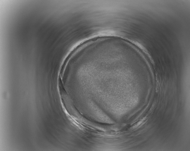 X0000058761342200510281908